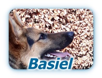 Basiel