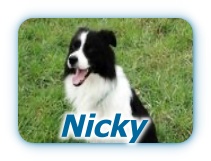 Nicky front