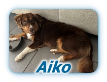 Aiko