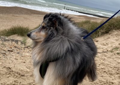 Caio 4
