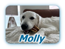 Molly