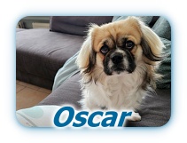 Oscar Oscar