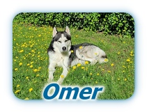 Omer 5
