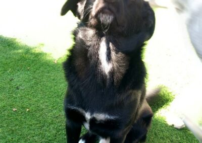 Bruce 5