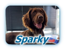 Sparky