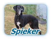 Spieker (1) Spieker 1 1